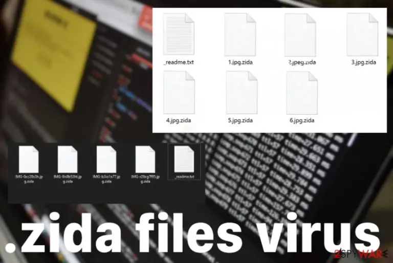 .zida files virus