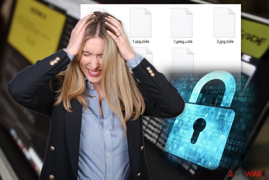 Zida ransomware virus Zida ransomware virus